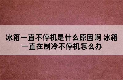 冰箱一直不停机是什么原因啊 冰箱一直在制冷不停机怎么办